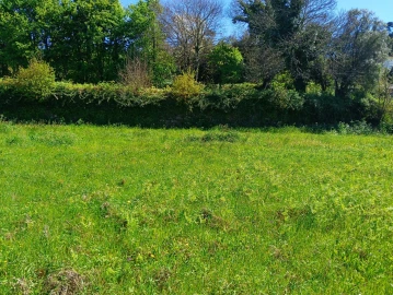 Terreno para Venda em Cornes
