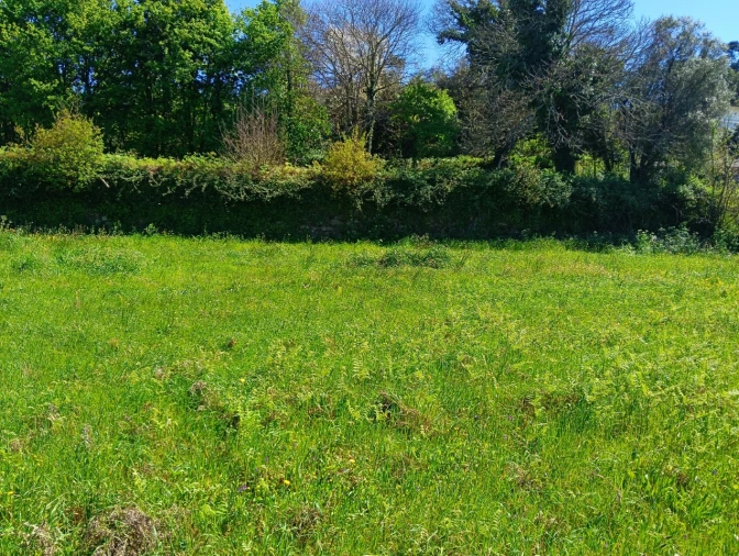 Terreno para Venda em Cornes Foto 6