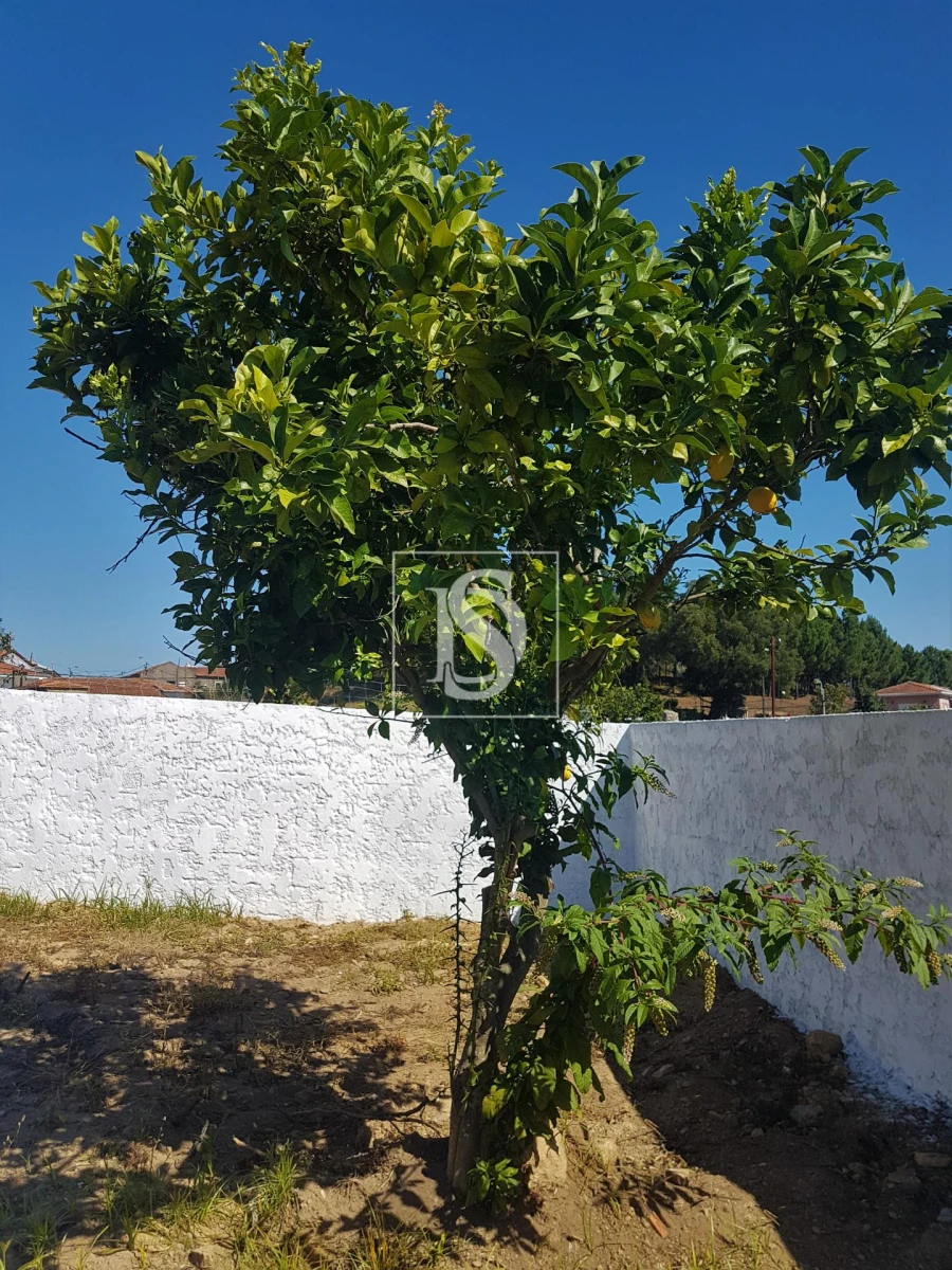Terreno para Venda em Sandim, Olival, Lever e Crestuma Foto 4