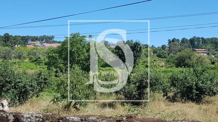 Terreno Agricola ou Rústico para Venda em Mouçós e Lamares