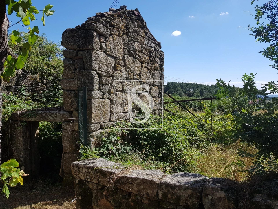 Quinta T0 para Venda em Mouçós e Lamares Foto 5