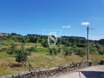 Quinta T0 para Venda em Mouçós e Lamares