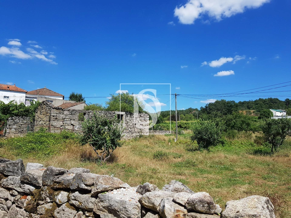 Quinta T0 para Venda em Mouçós e Lamares Foto 1