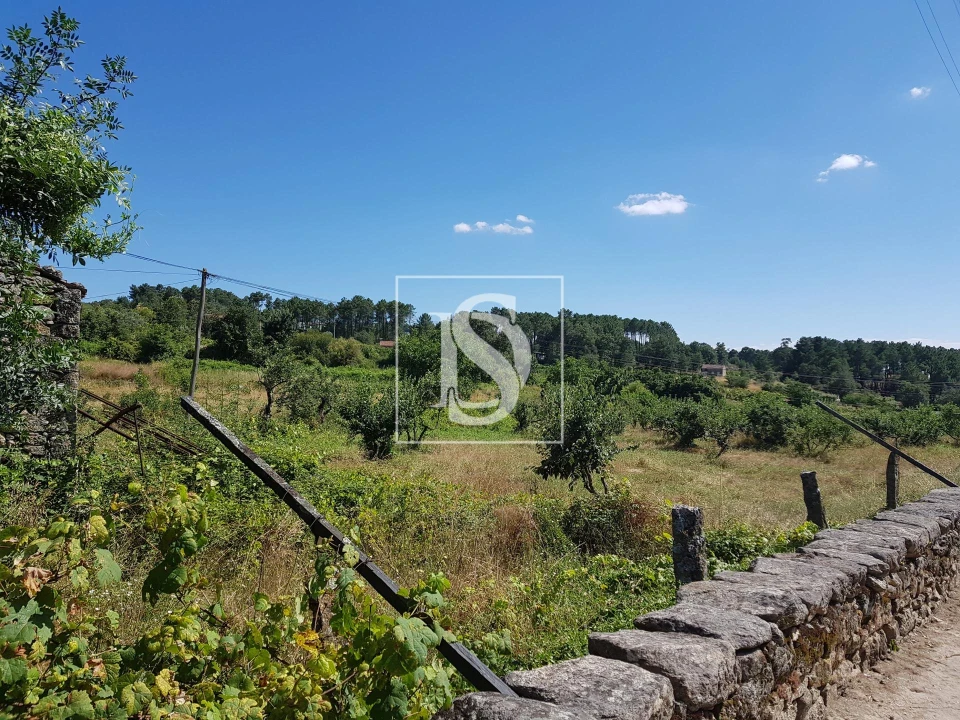 Quinta T0 para Venda em Mouçós e Lamares Foto 3