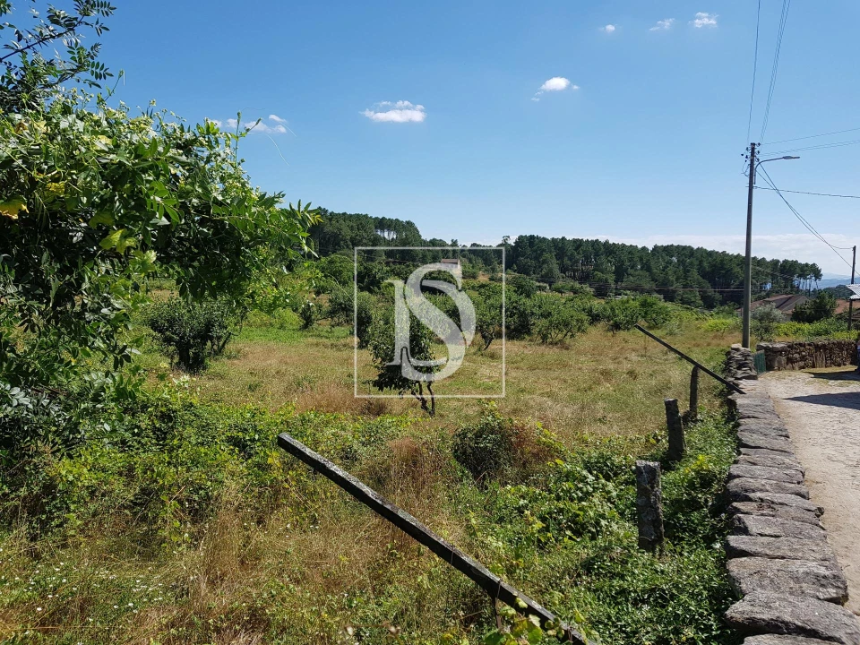 Quinta T0 para Venda em Mouçós e Lamares Foto 6