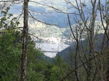 Terreno Agricola ou Rústico para Venda em Gove