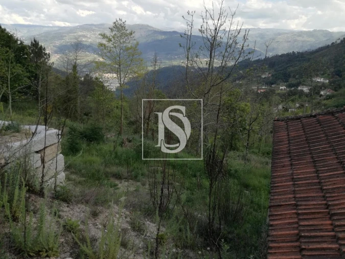 Terreno Agricola ou Rústico para Venda em Gove Foto 3