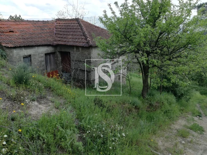 Terreno Agricola ou Rústico para Venda em Gove Foto 4