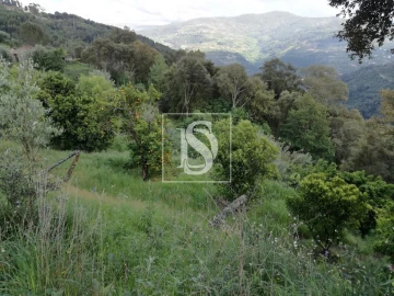 Terreno Agricola ou Rústico para Venda em Gove