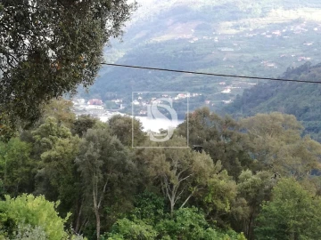 Terreno Agricola ou Rústico para Venda em Gove