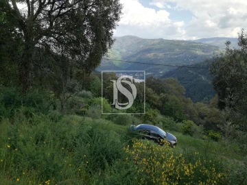 Terreno Agricola ou Rústico para Venda em Gove