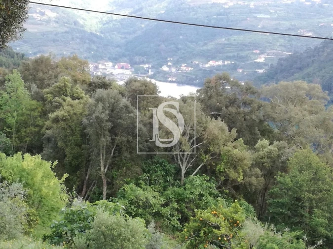 Terreno Agricola ou Rústico para Venda em Gove Foto 3