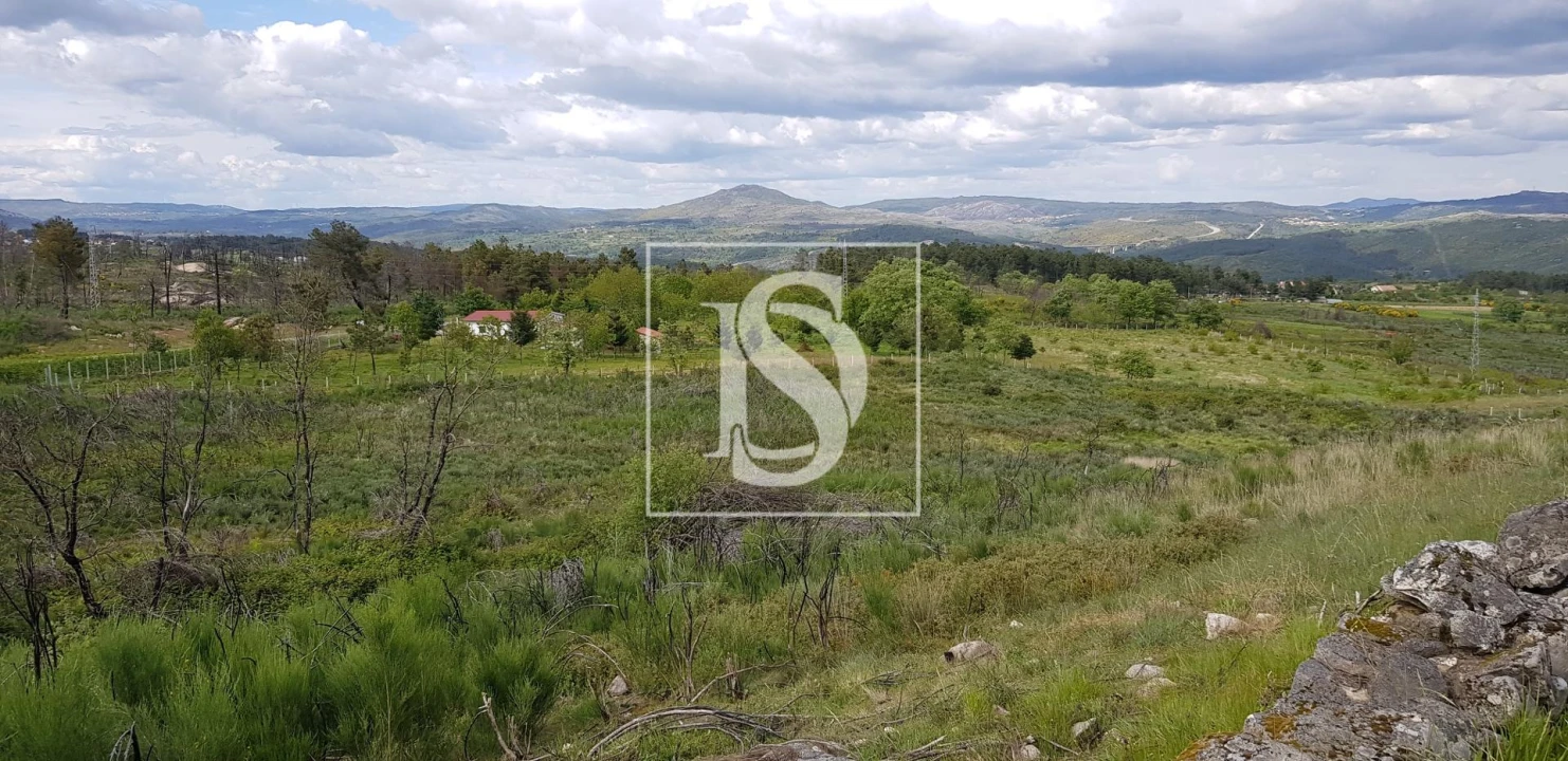 Terreno para Venda em São Lourenço de Ribapinhão Foto 7