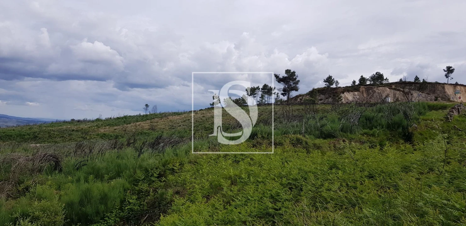 Terreno para Venda em São Lourenço de Ribapinhão Foto 5