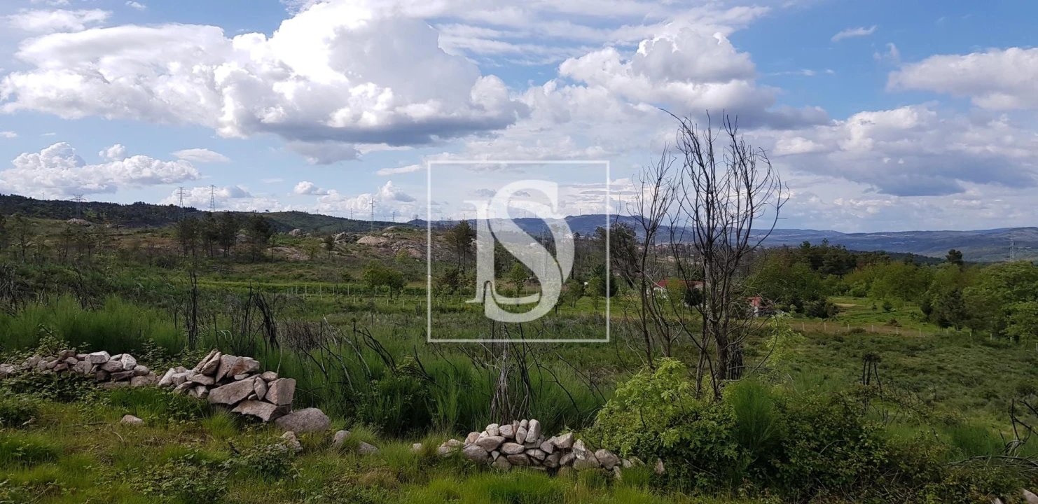 Terreno para Venda em São Lourenço de Ribapinhão Foto 9