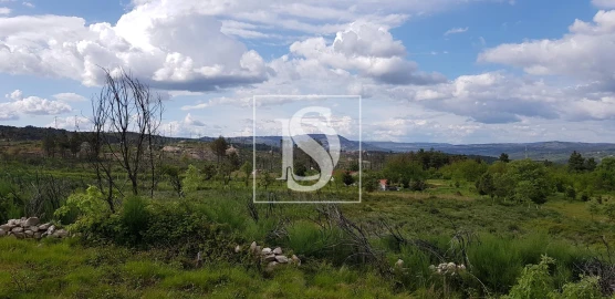 Terreno para Venda em São Lourenço de Ribapinhão