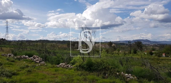 Terreno para Venda em São Lourenço de Ribapinhão