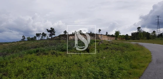 Terreno para Venda em São Lourenço de Ribapinhão