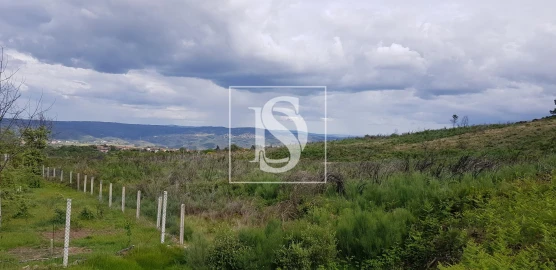 Terreno para Venda em São Lourenço de Ribapinhão