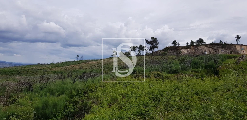 Terreno para Venda em São Lourenço de Ribapinhão Foto 5
