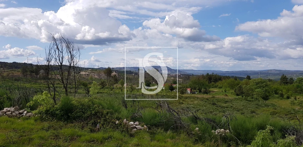 Terreno para Venda em São Lourenço de Ribapinhão Foto 10