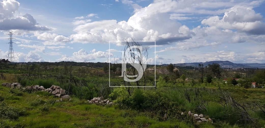 Terreno para Venda em São Lourenço de Ribapinhão Foto 11