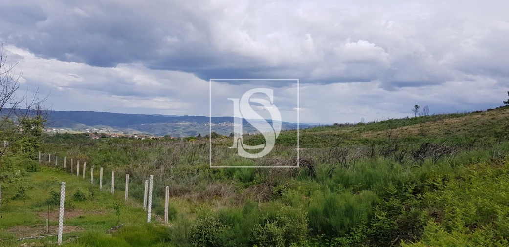 Terreno para Venda em São Lourenço de Ribapinhão Foto 3