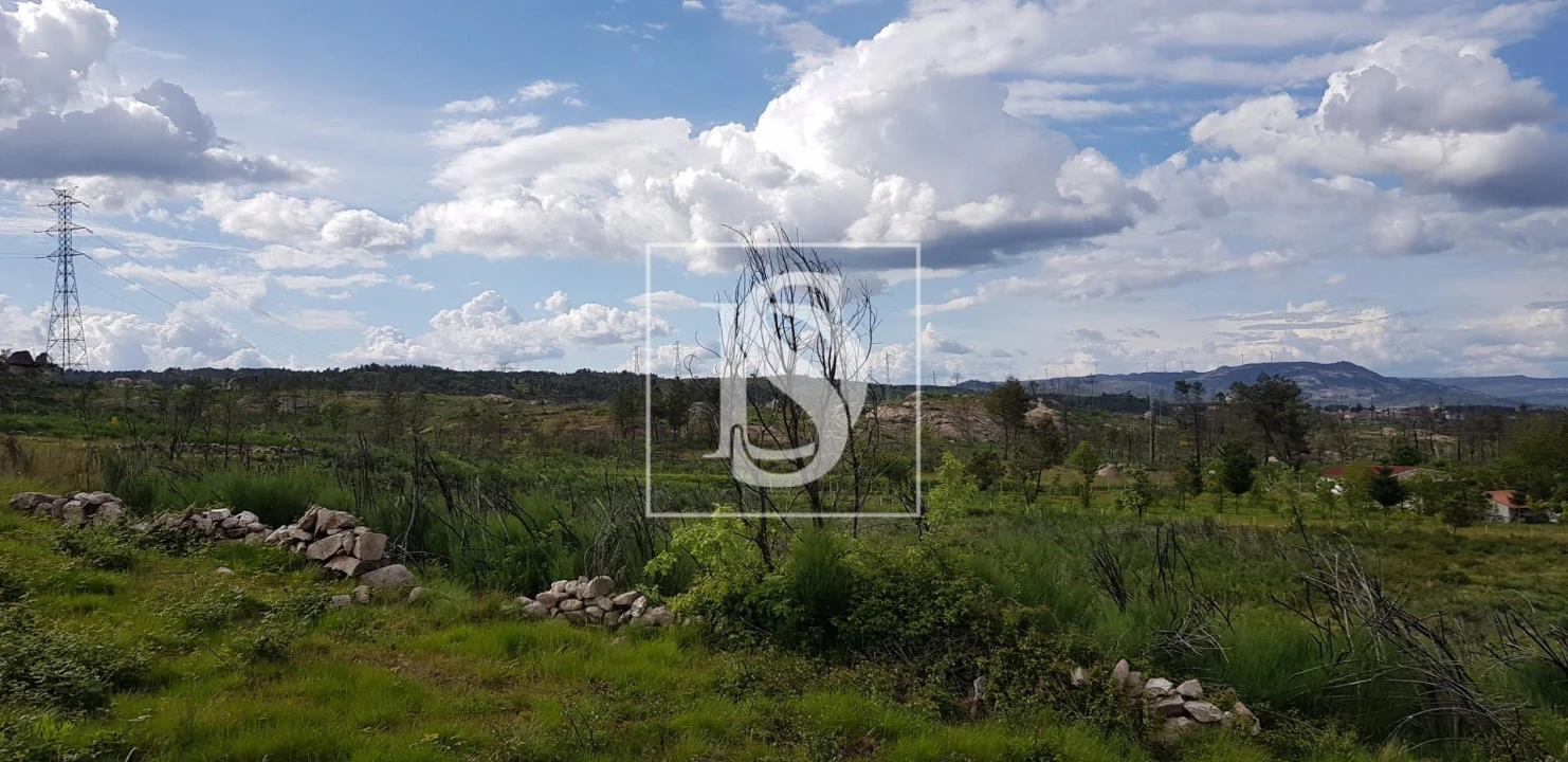 Terreno para Venda em São Lourenço de Ribapinhão Foto 11