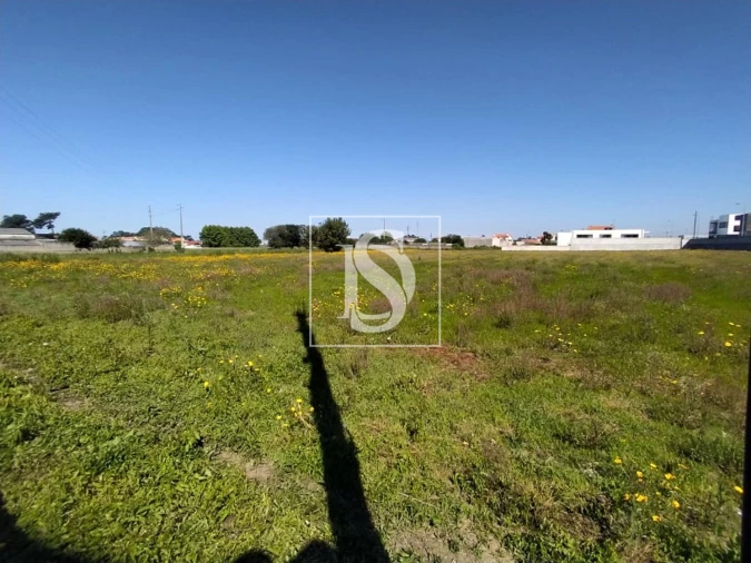 Terreno para Venda em Póvoa de Varzim, Beiriz e Argivai Foto 4