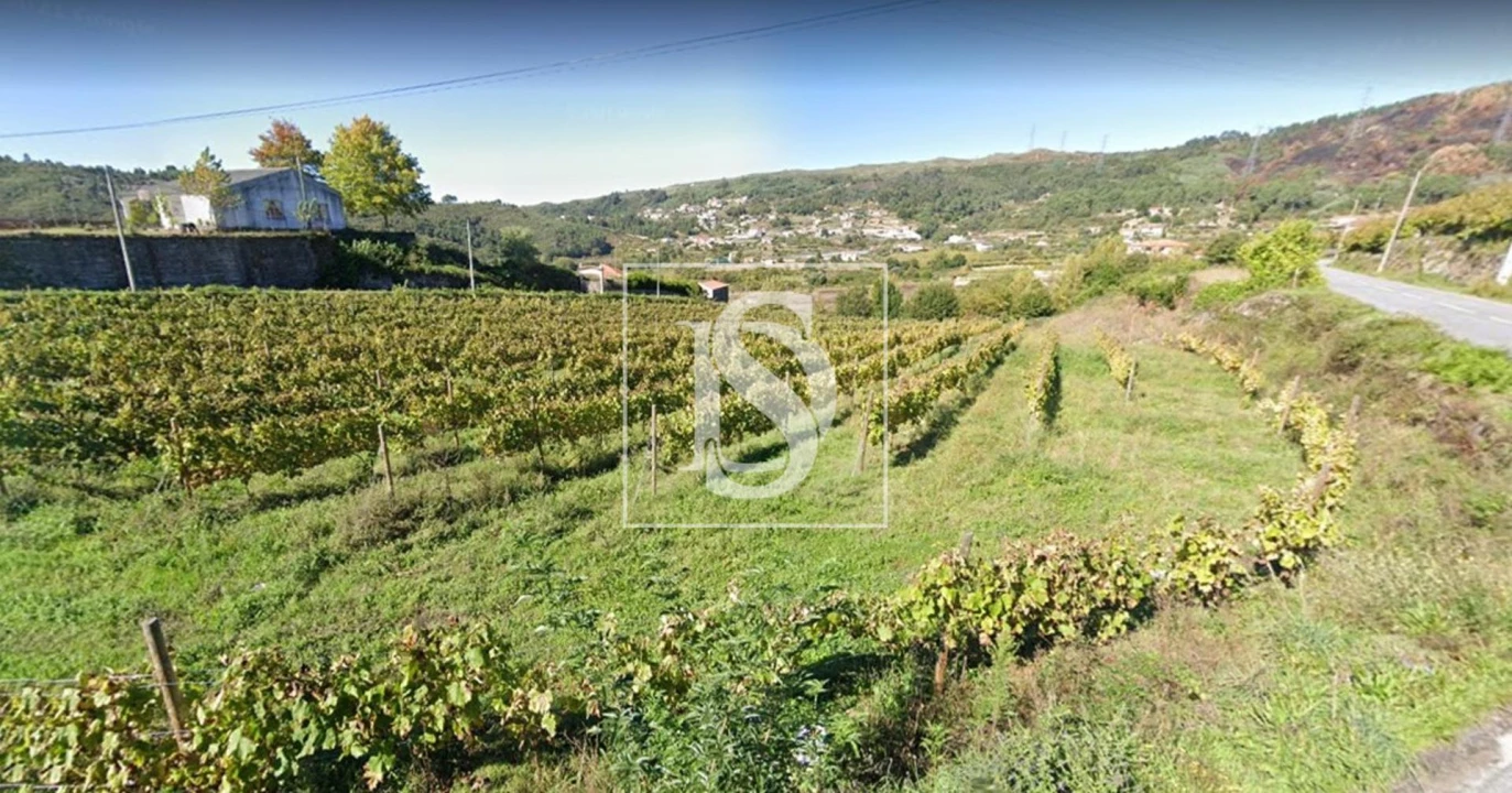 Terreno Agricola ou Rústico para Venda em Gove Foto 1