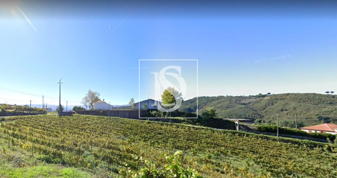 Terreno Agricola ou Rústico para Venda em Gove Foto 4