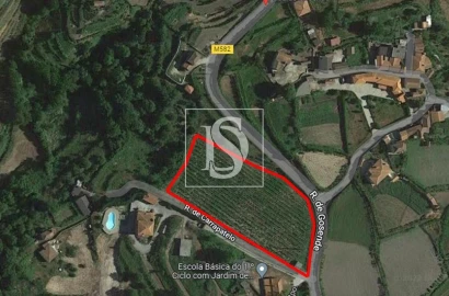 Terreno Agricola ou Rústico para Venda em Gove