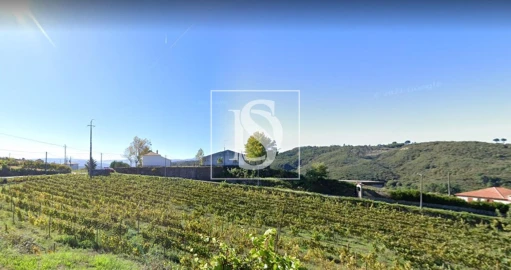 Terreno Agricola ou Rústico para Venda em Gove