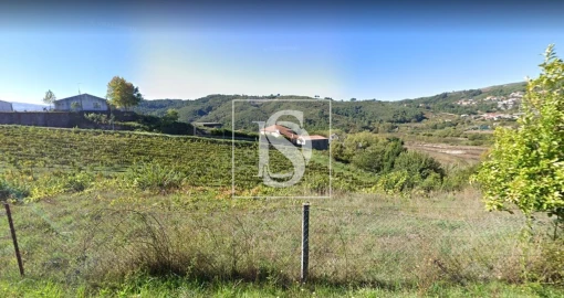 Terreno Agricola ou Rústico para Venda em Gove