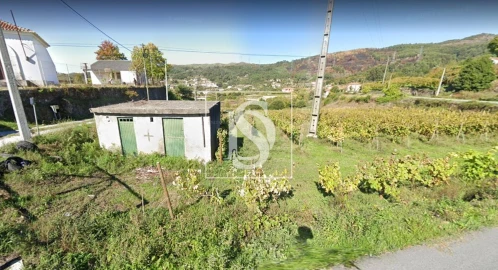 Terreno Agricola ou Rústico para Venda em Gove