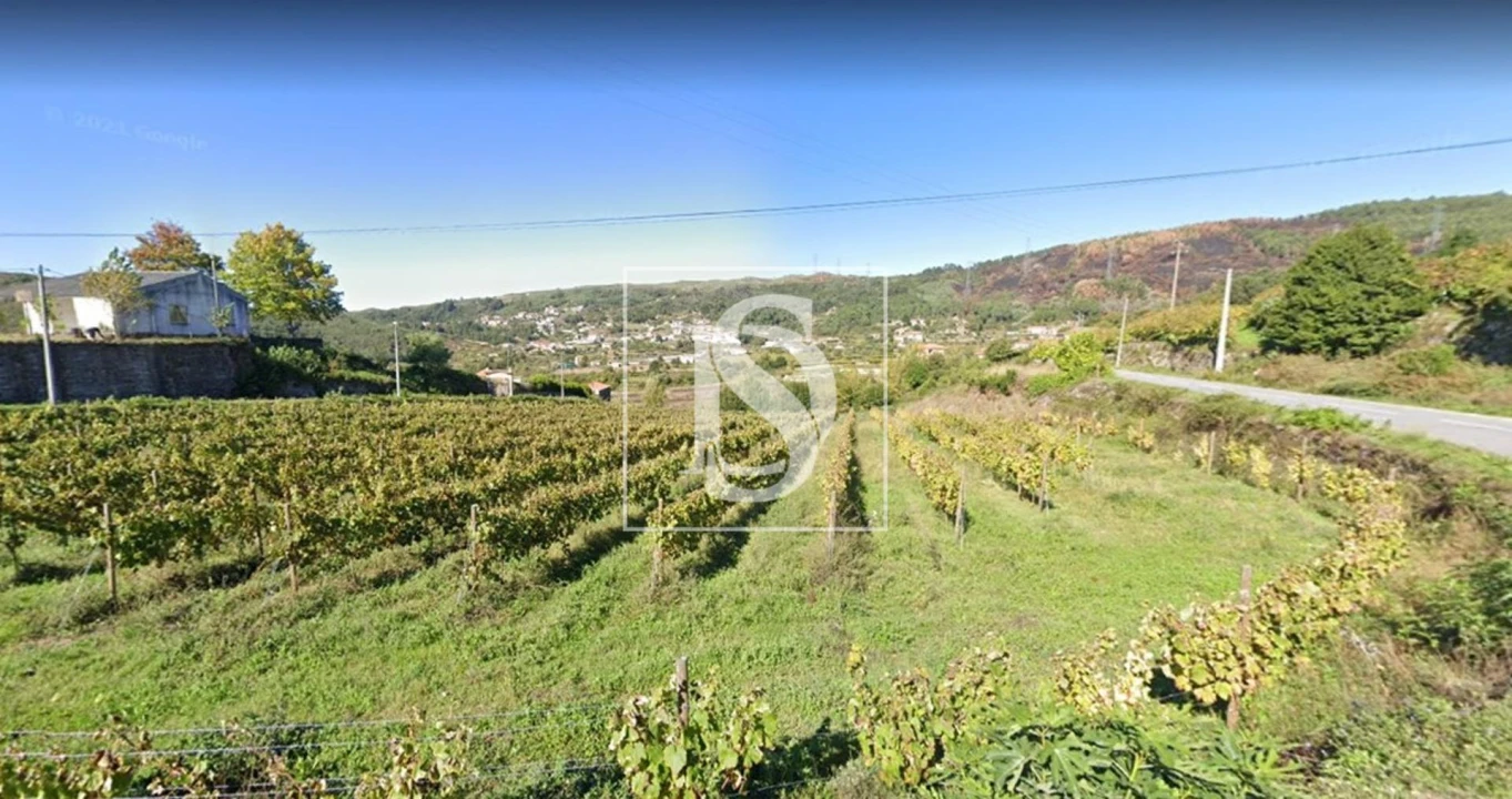 Terreno Agricola ou Rústico para Venda em Gove Foto 2