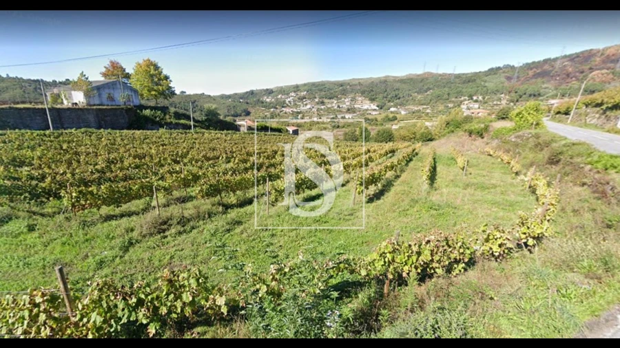 Terreno Agricola ou Rústico para Venda em Gove