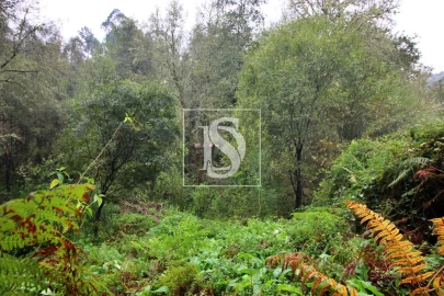 Quinta T0 para Venda em Formariz e Ferreira