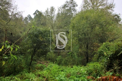 Quinta T0 para Venda em Formariz e Ferreira