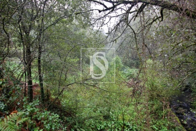 Quinta T0 para Venda em Formariz e Ferreira