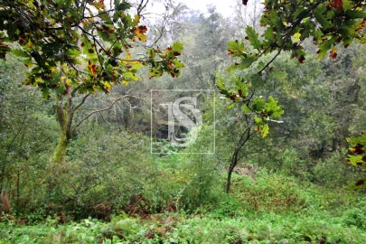 Quinta T0 para Venda em Formariz e Ferreira