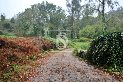 Quinta T0 para Venda em Formariz e Ferreira