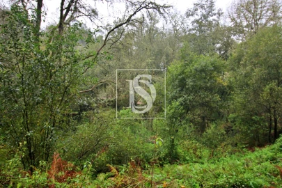 Quinta T0 para Venda em Formariz e Ferreira