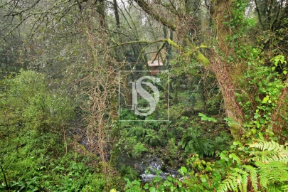 Quinta T0 para Venda em Formariz e Ferreira