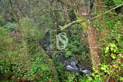 Quinta T0 para Venda em Formariz e Ferreira