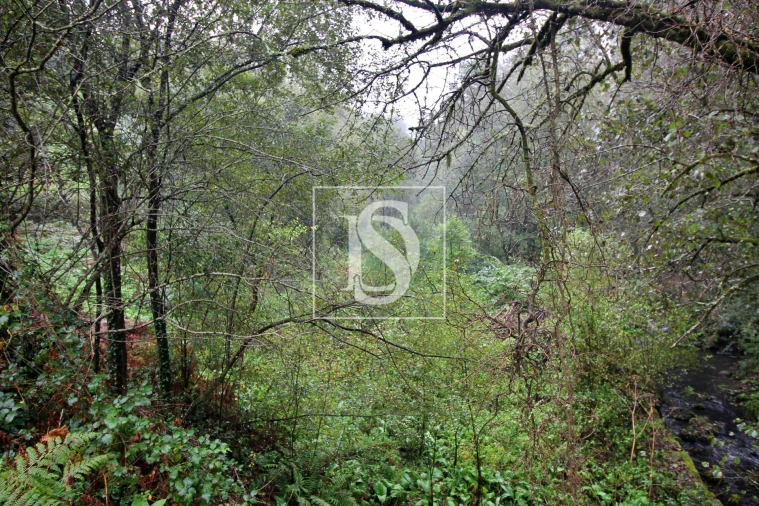 Quinta T0 para Venda em Formariz e Ferreira Foto 8