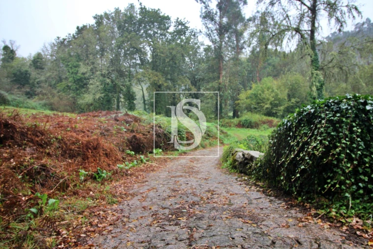 Quinta T0 para Venda em Formariz e Ferreira Foto 10