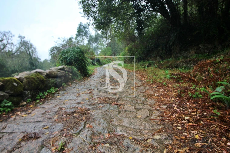 Quinta T0 para Venda em Formariz e Ferreira Foto 9