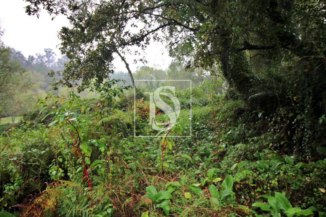 Quinta T0 para Venda em Formariz e Ferreira Foto 7