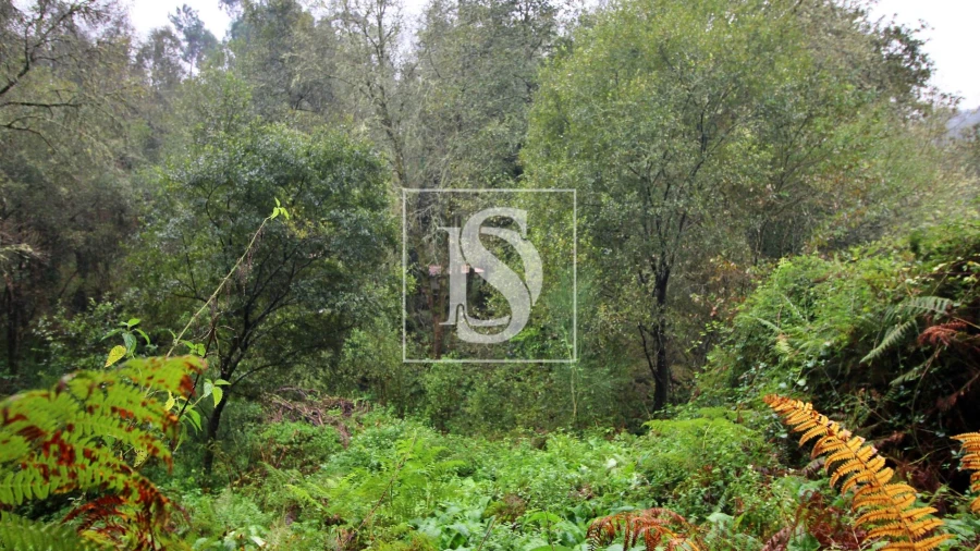 Quinta T0 para Venda em Formariz e Ferreira